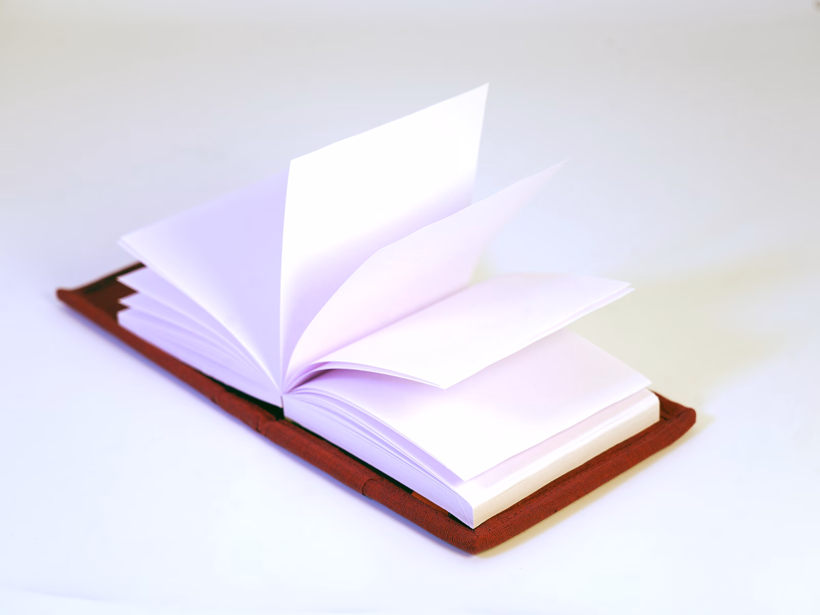 Pithora Embroidered Scribbling Pad – GI Product from Gujarat